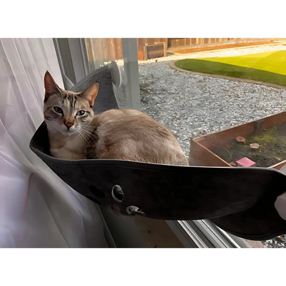 Fenster Hängematte für Katzen | Stabil &amp; platzsparend