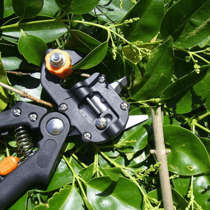 🔩Professionelles Garten Veredelungswerkzeug-Set⚙️