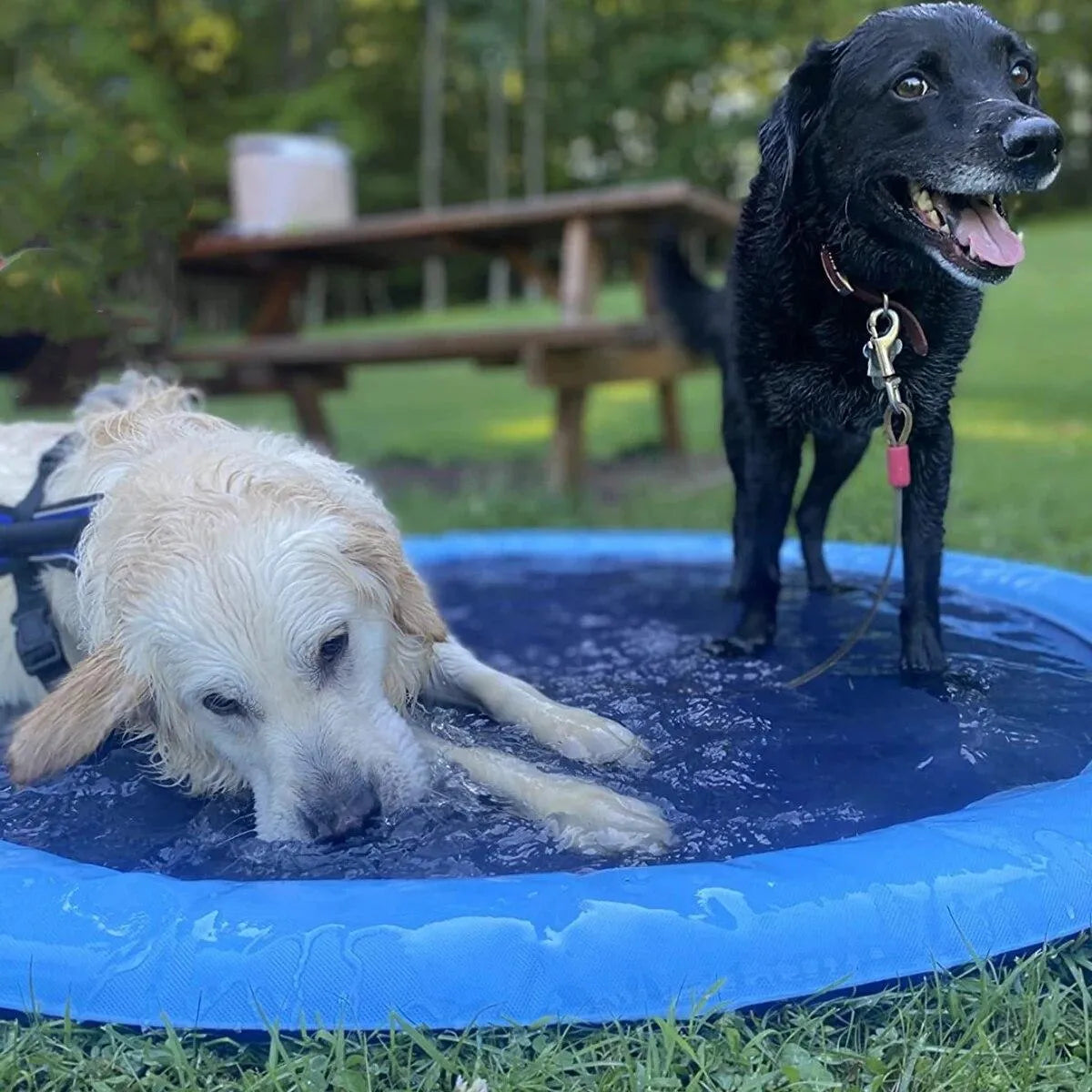 CoolSplash – Interaktive Hundewasserspielmatte für heiße Sommertage