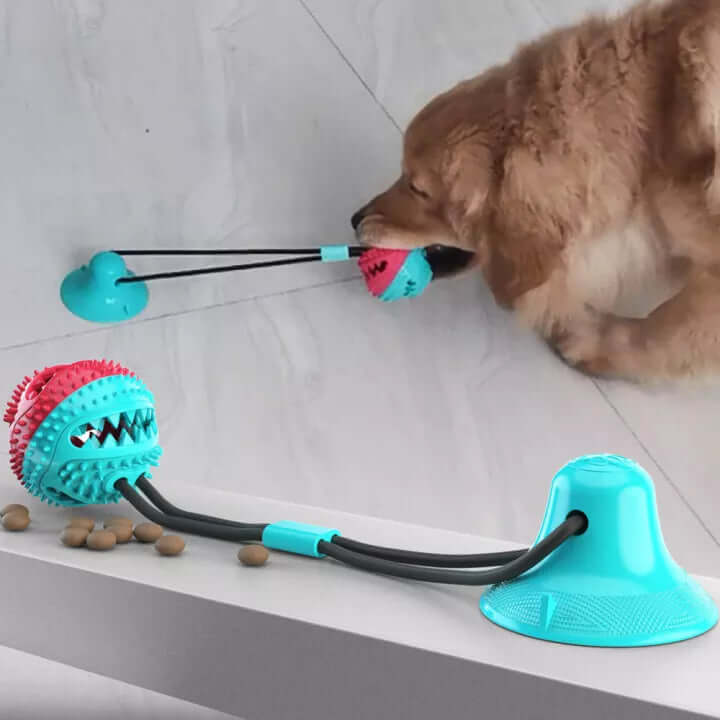 Robustes Hundezerrspielzeug mit Saugnapf