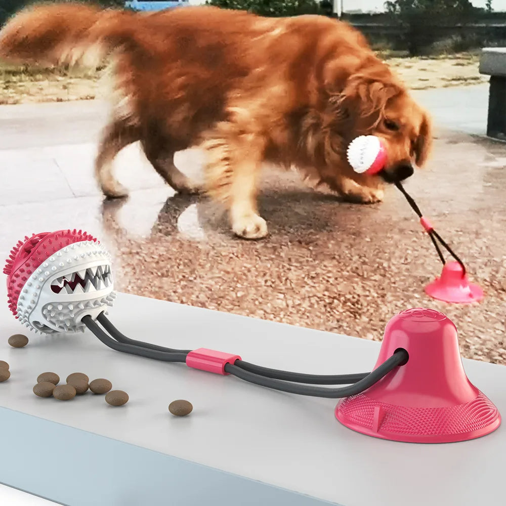 Zelara - Halte deinen Hund zu Hause aktiv &amp; gesund