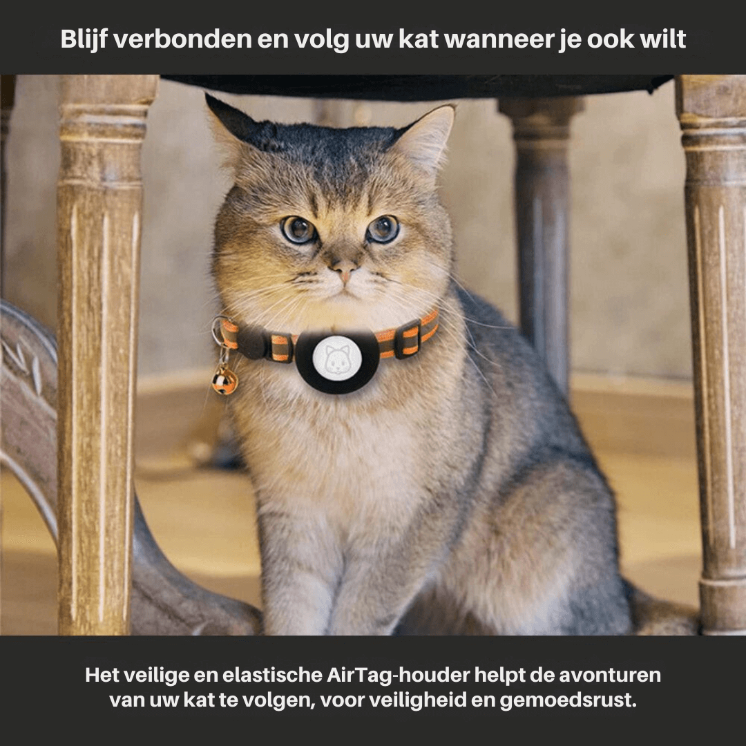 Katzenhalsband mit Sicherheitsverschluss &amp; GPS-Tracker Halterung