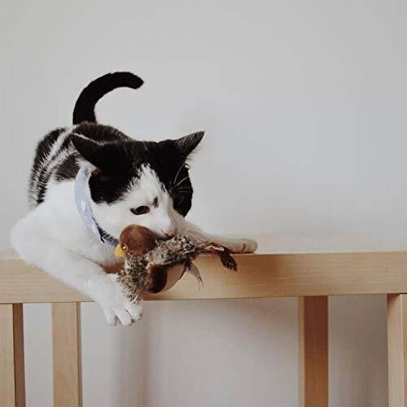 Interaktives Katzenspielzeug Vogel mit Geräuschen
