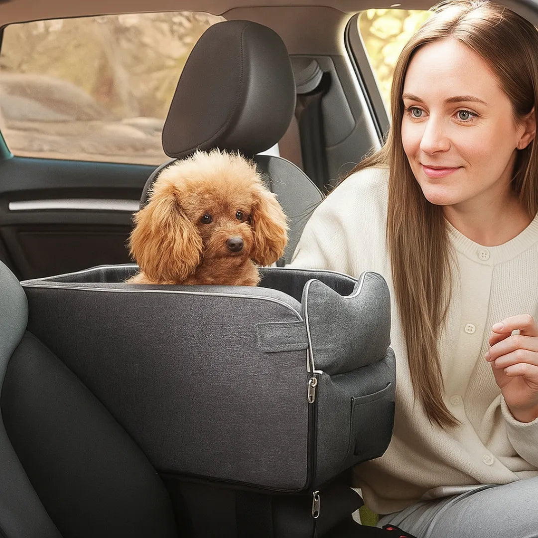 TravelBuddy – Der sichere Autositz für kleine Hunde