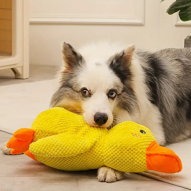 PowerDuck – Unzerstörbares Quietschspielzeug für starke Hunde