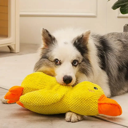 PowerDuck – Unzerstörbares Quietschspielzeug für starke Hunde