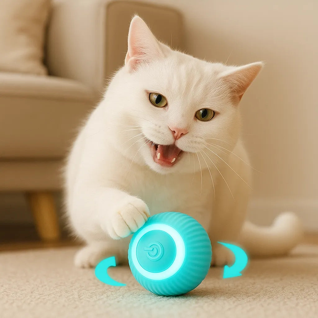 CatRoller | Der interaktive Spielball für endlosen Katzenspaß