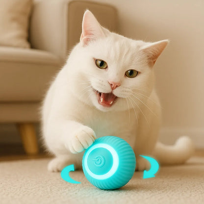 CatRoller | Der interaktive Spielball für endlosen Katzenspaß