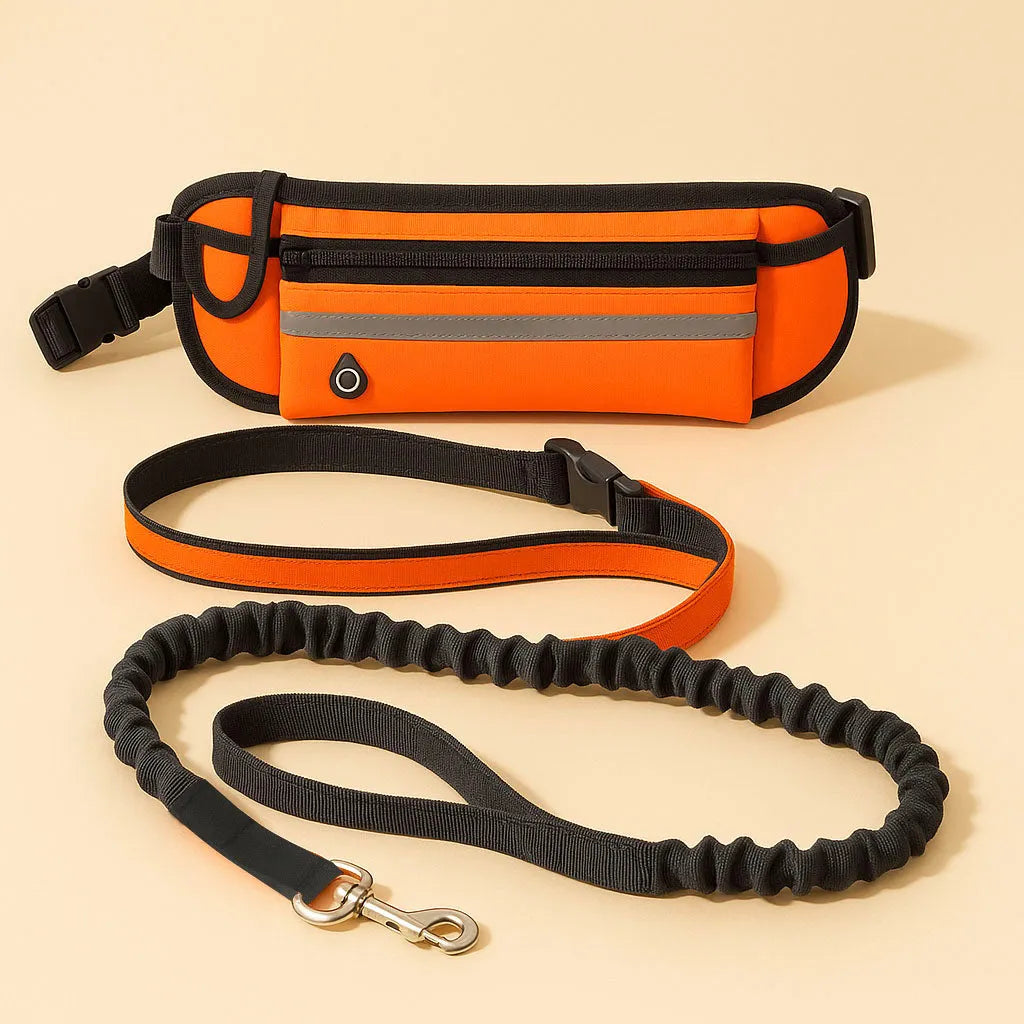 Freihändige Hundeleine mit Bauchgurt | Joggen, Wandern &amp; Spazieren