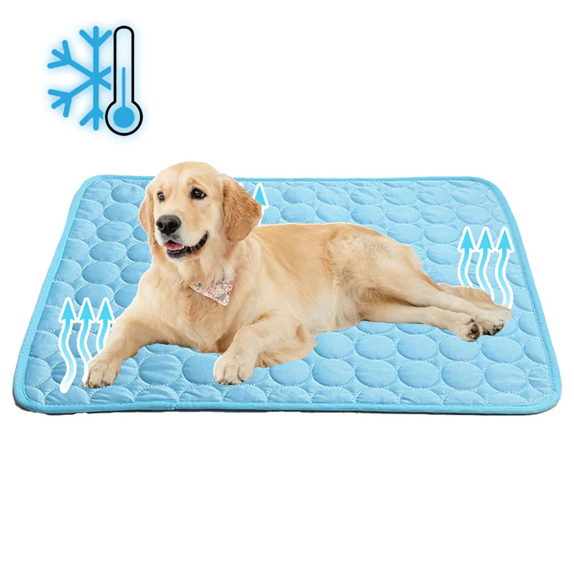 Kühlmatte für Hunde | Komfort und Linderung im Sommer