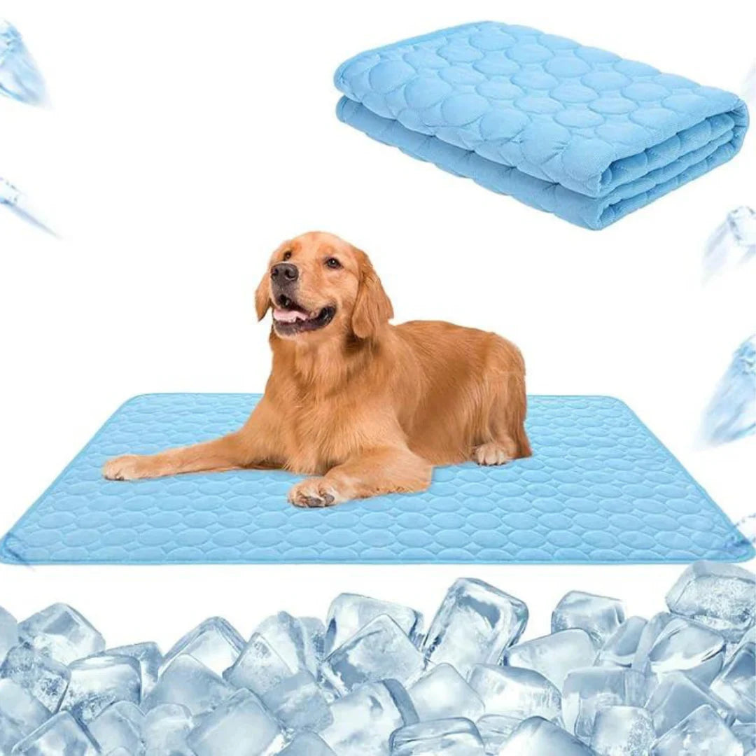 Kühlmatte für Hunde | Komfort und Linderung im Sommer