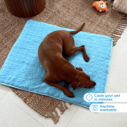 Kühlmatte für Hunde | Komfort und Linderung im Sommer