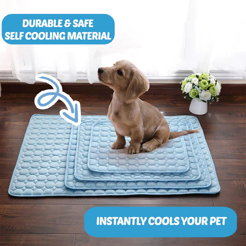Kühlmatte für Hunde | Komfort und Linderung im Sommer