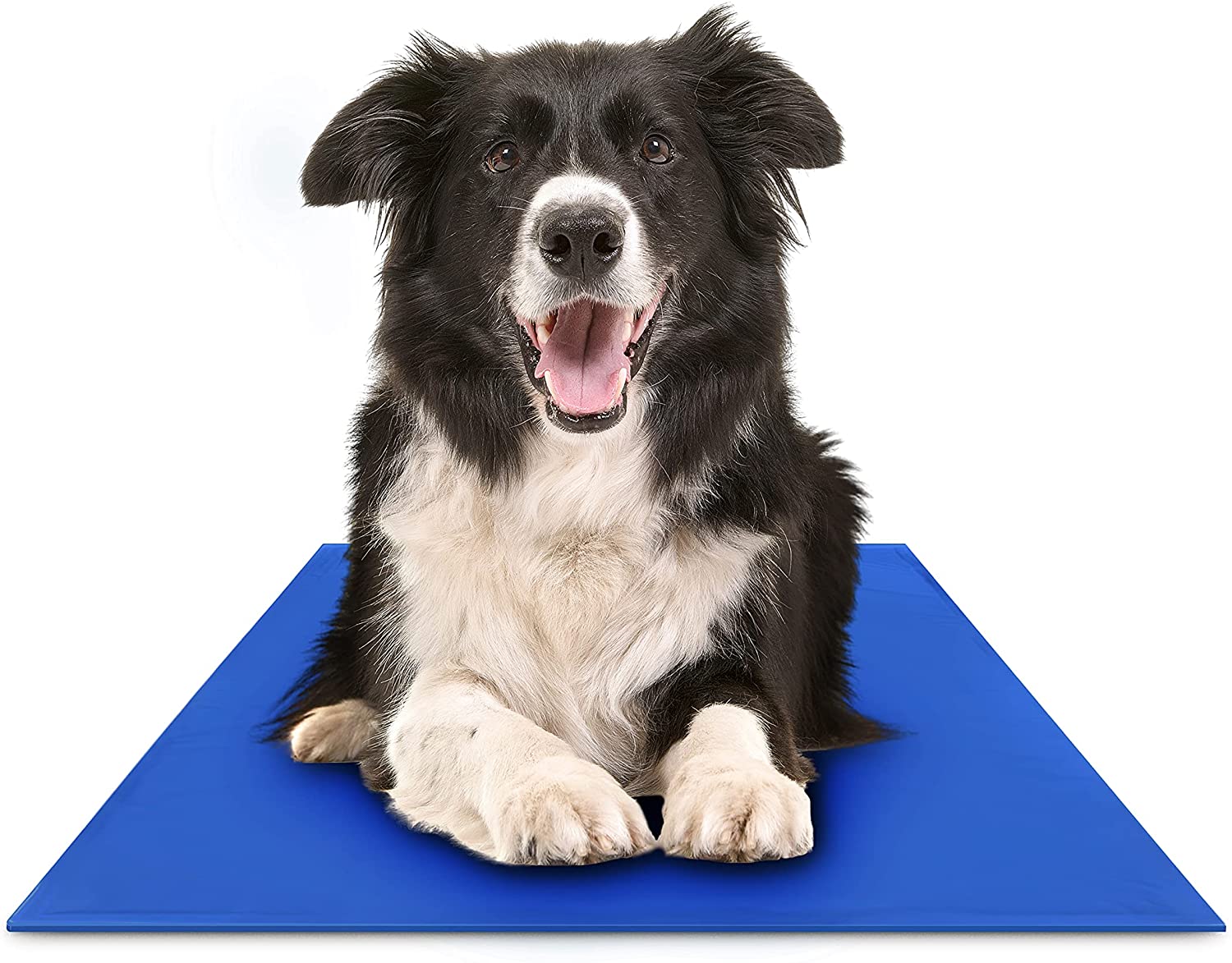 Kühlende Teppiche für Hunde | Komfort und Frische im Sommer