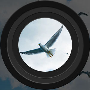 Nachtsichtfernglas 60x60 HD Teleskop Langstrecke Outdoor Vogelbeobachtung Jagd