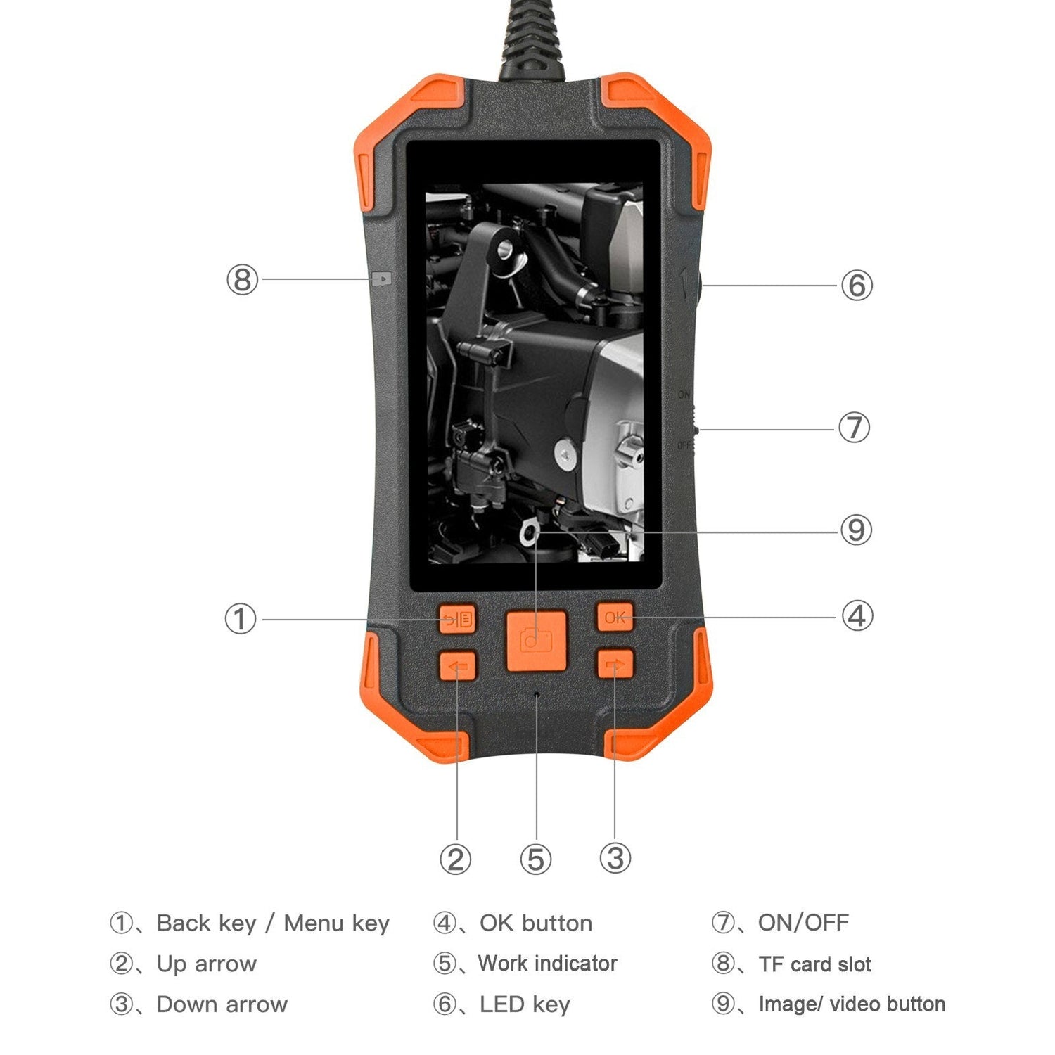 4.3 Zoll 1080P Industrie-Endoskop - 5.5mm Linse, semi-rigides Kabel, IP67 wasserdicht, LED-Licht, TF-Kartensteckplatz - Ideal für Auto-Reparatur &amp; Rohrinspektion