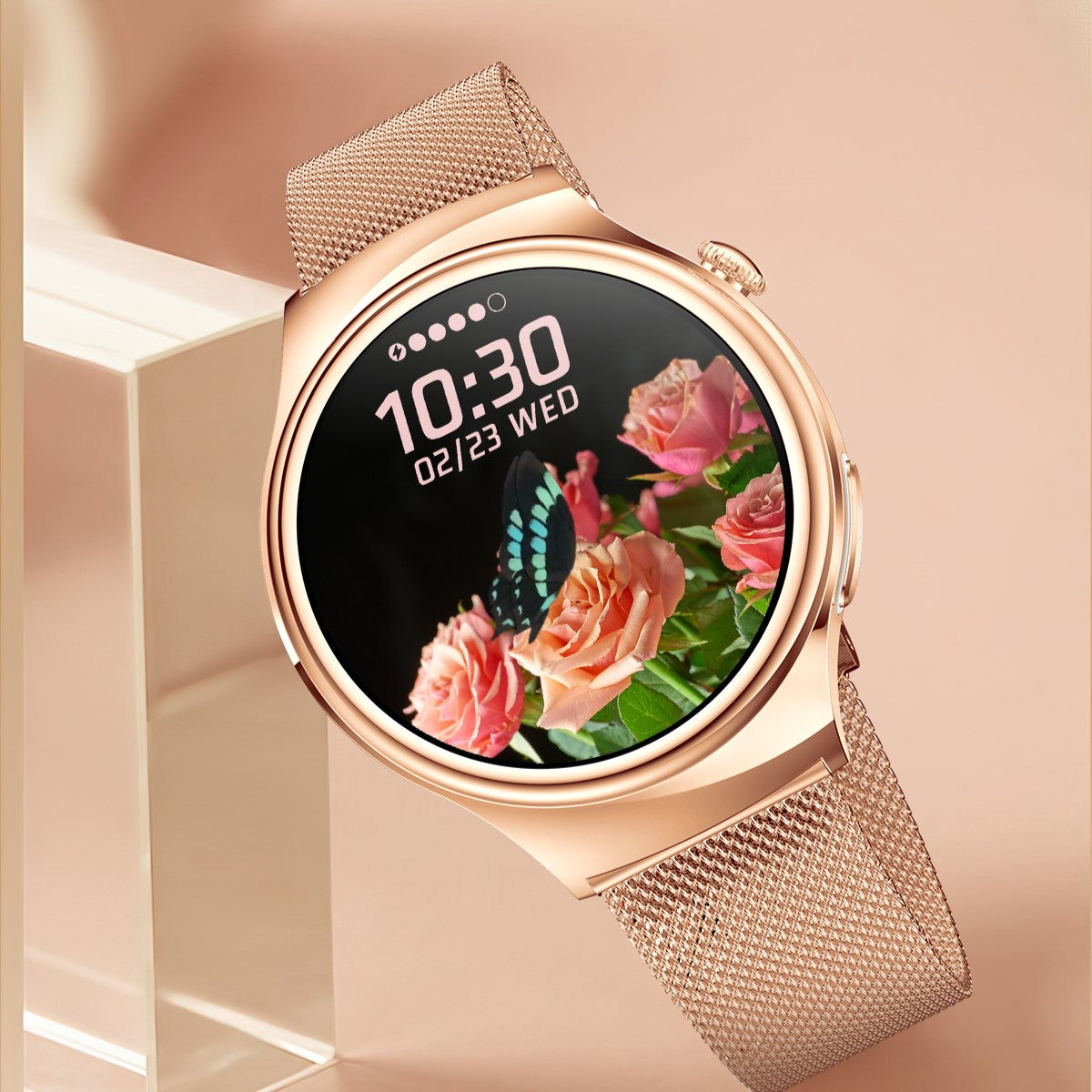 Zelara P02 ECG/EKG Blutzucker Blutdruck Blutsauerstoff Harnsäure Überwachung Smartwatch