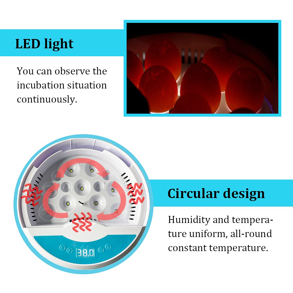 Eierbrüter für Hühnereier Brüter für das Schlüpfen von Küken mit Temperaturregelung LED Hühnereierbrüter