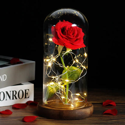 Ewige Rose in Glasdome | Handverlesen, LED-beleuchtet &amp; Ideal für romantische Geschenke und Wohnkultur