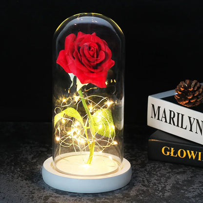 Ewige Rose in Glasdome | Handverlesen, LED-beleuchtet &amp; Ideal für romantische Geschenke und Wohnkultur