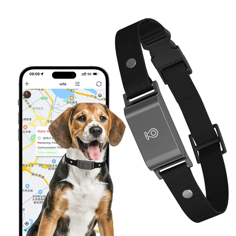GPS-Tracker mit 4G &amp; App | Ortung für Hunde &amp; Katzen