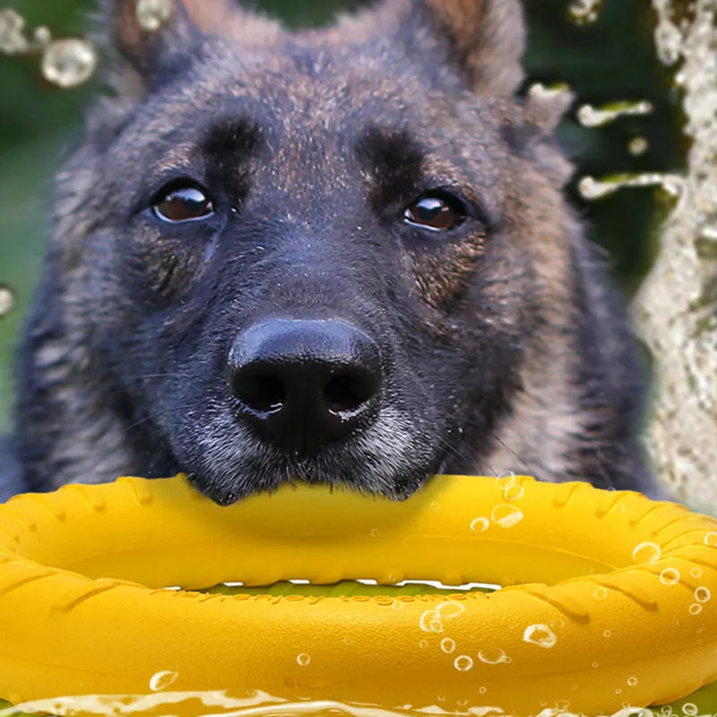 Kauring für Hunde – Wasserfestes Hundespielzeug zum Kauen &amp; Apportieren