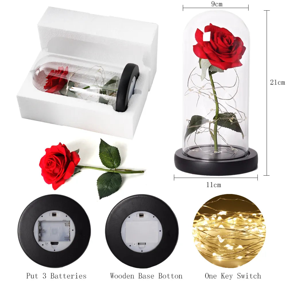 Ewige Rose in Glasdome | Handverlesen, LED-beleuchtet &amp; Ideal für romantische Geschenke und Wohnkultur
