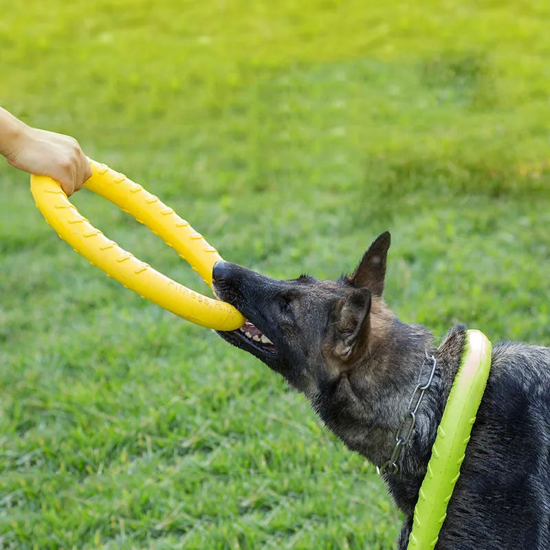 Kauring für Hunde – Wasserfestes Hundespielzeug zum Kauen &amp; Apportieren