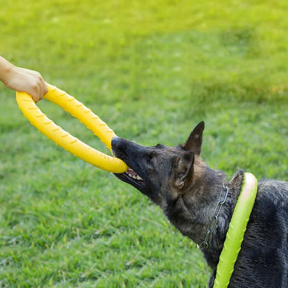 Kauring für Hunde – Wasserfestes Hundespielzeug zum Kauen &amp; Apportieren