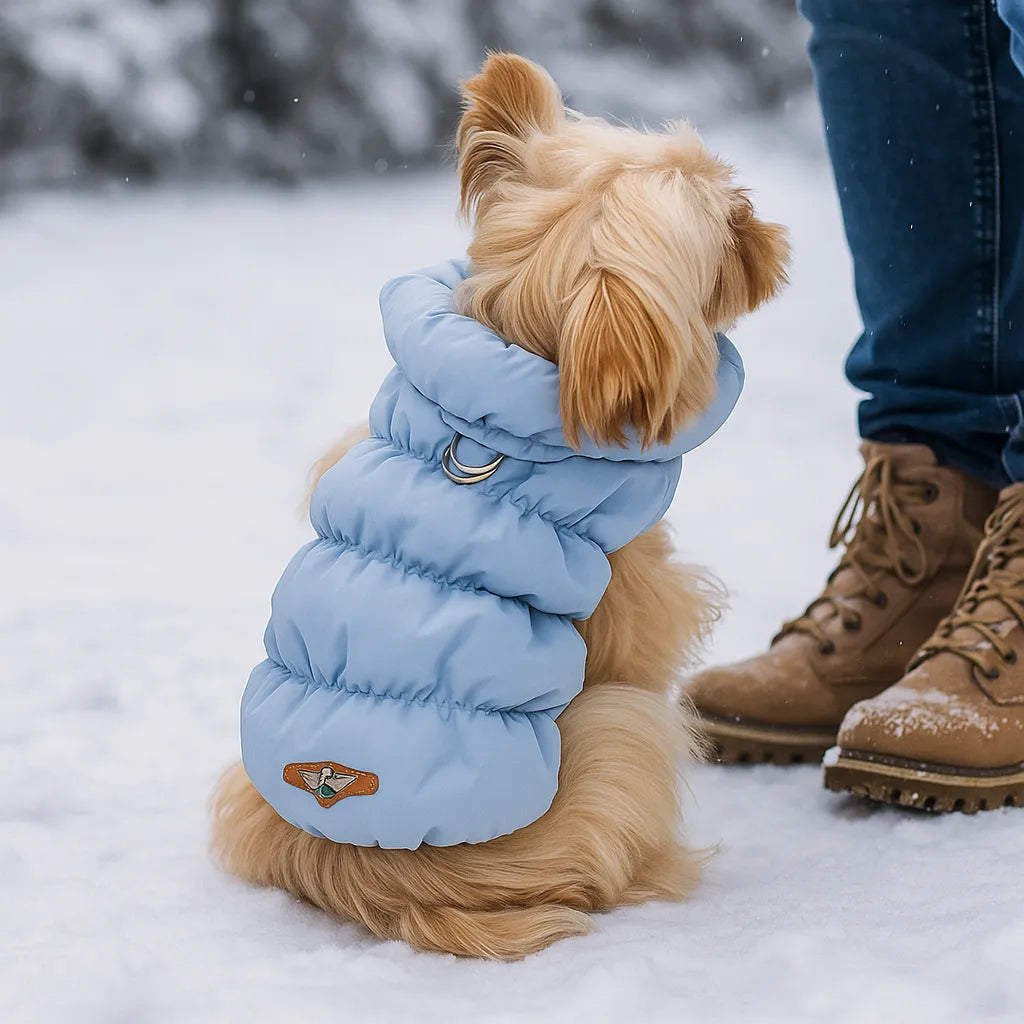 Hundemantel Winter | Warm &amp; wasserabweisend