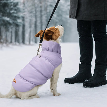 Hundemantel Winter | Warm &amp; wasserabweisend