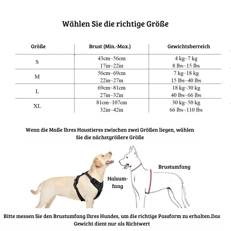 Verstellbares Hundegeschirr | Robust &amp; bequem
