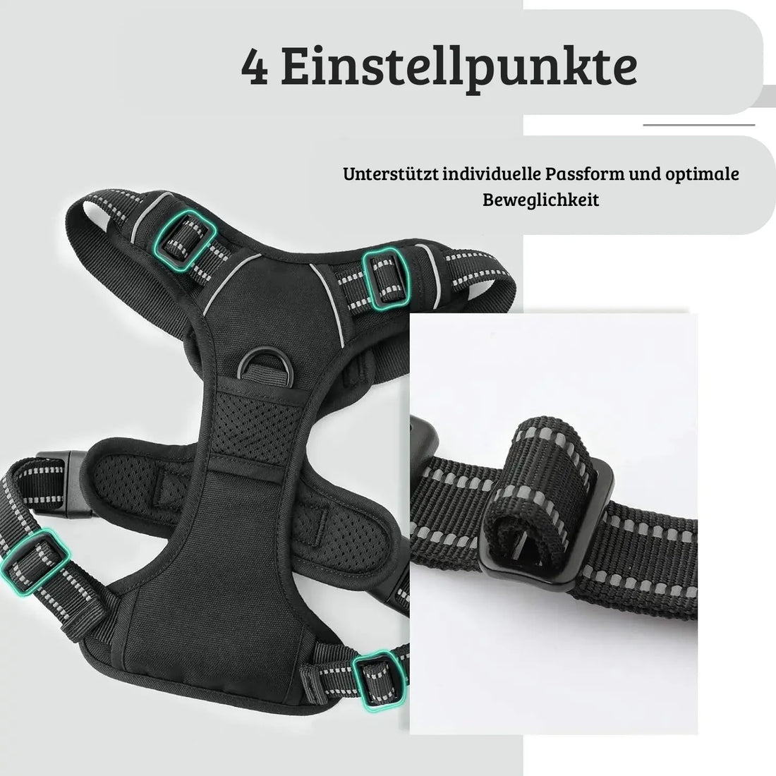 Verstellbares Hundegeschirr | Robust &amp; bequem