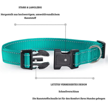 Reflektierendes Sicherheits-Hundehalsband | Für Spaziergänge im Dunkeln
