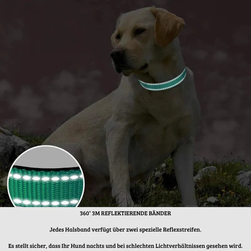 Reflektierendes Sicherheits-Hundehalsband | Für Spaziergänge im Dunkeln