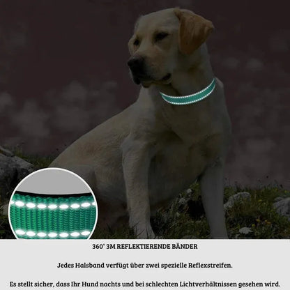 Reflektierendes Sicherheits-Hundehalsband | Für Spaziergänge im Dunkeln