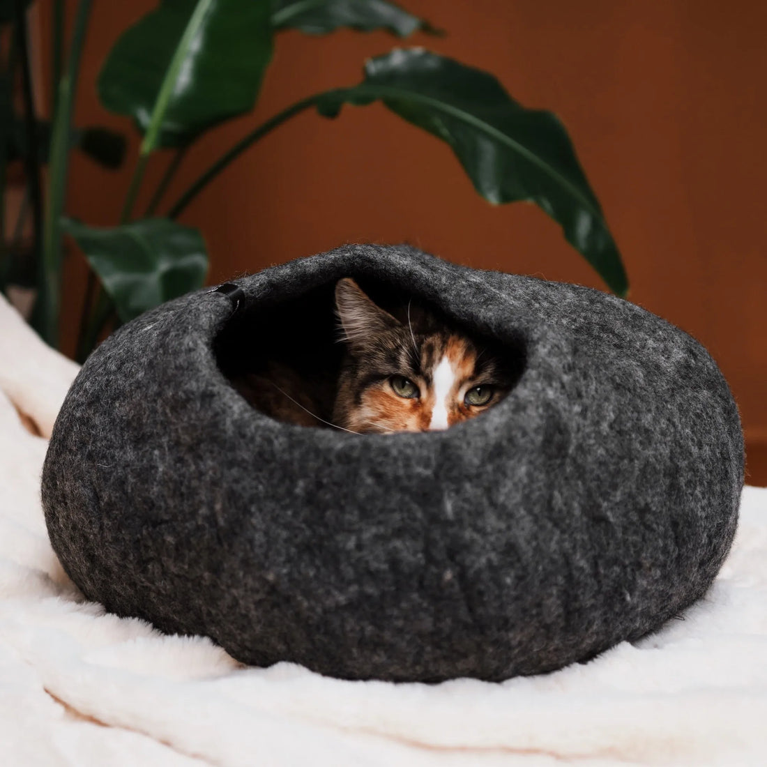 Katzenhöhle aus Filz | Kuschelige Schlafhöhle für Katzen