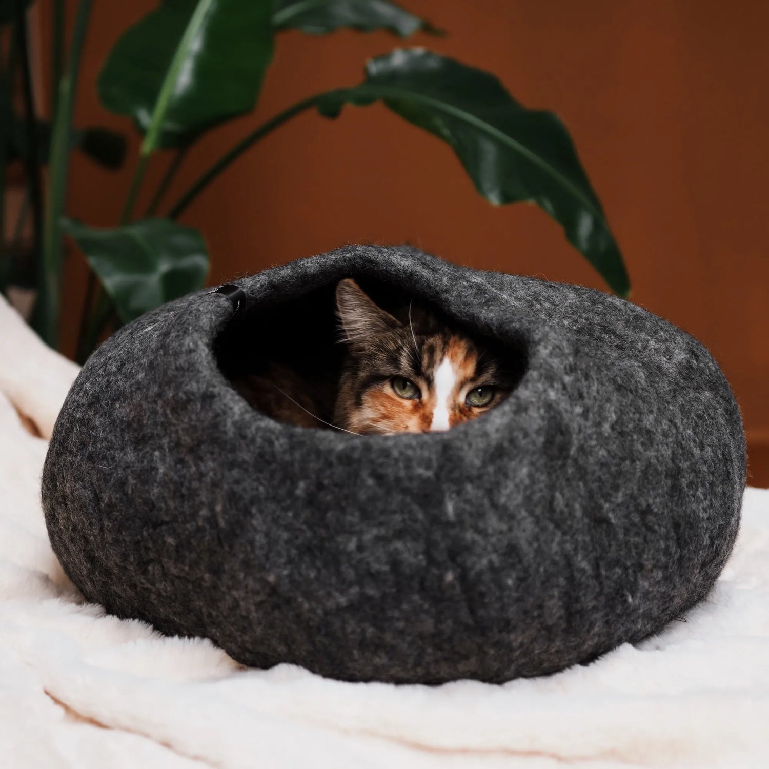 Katzenhöhle aus Filz | Kuschelige Schlafhöhle für Katzen