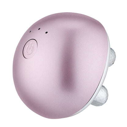 Zelara EMS Mikrocurrent Gesichts-Massager