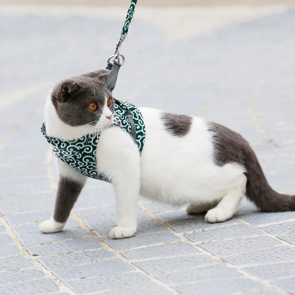 Katzengeschirr für Freigänger | Sicher &amp; Bequem