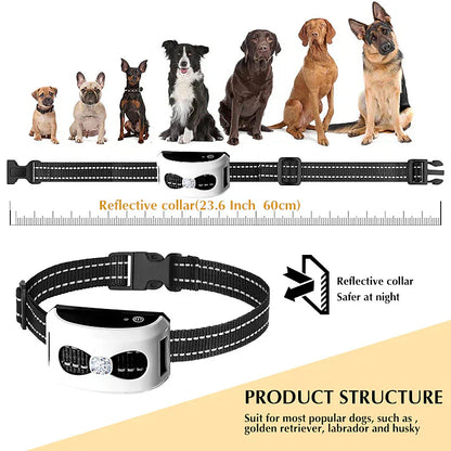 PawPal Drahtloses Hundehalsband – Freiheit und Sicherheit für deinen Hund
