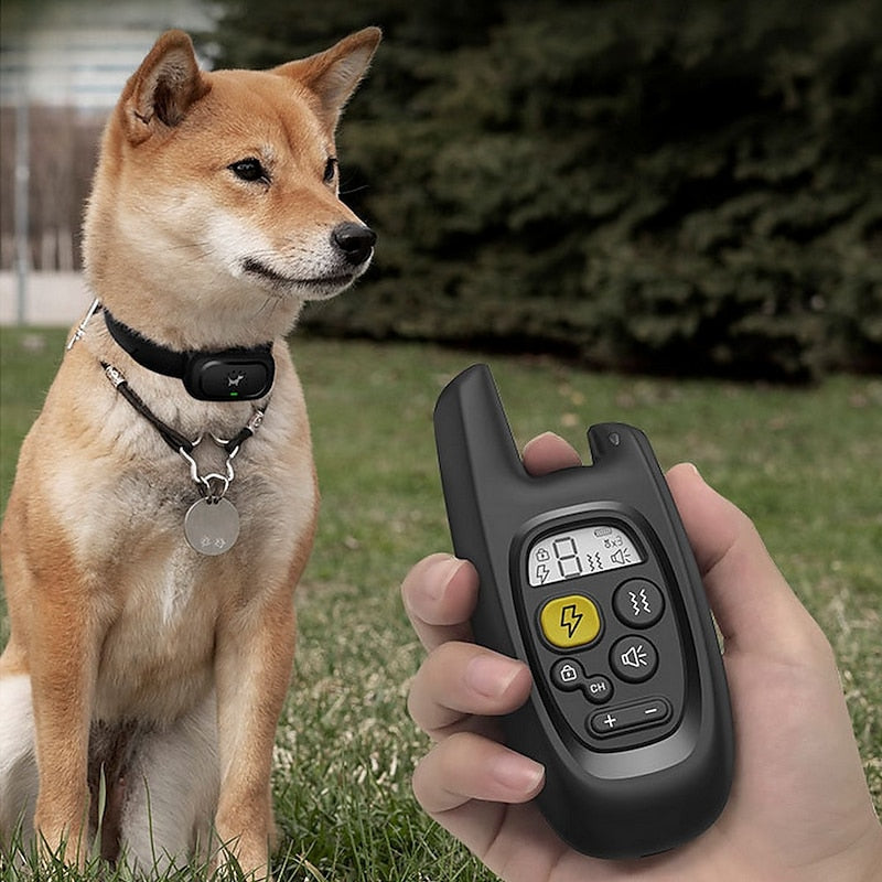 Pawfey 500m wasserdicht wiederaufladbares Hundetraining Halsband