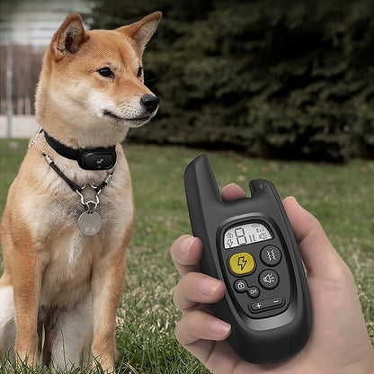 Pawfey 500m wasserdicht wiederaufladbares Hundetraining Halsband