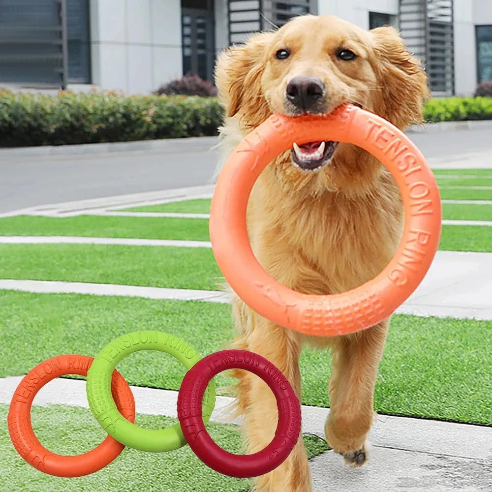 Kauring für Hunde – Wasserfestes Hundespielzeug zum Kauen &amp; Apportieren