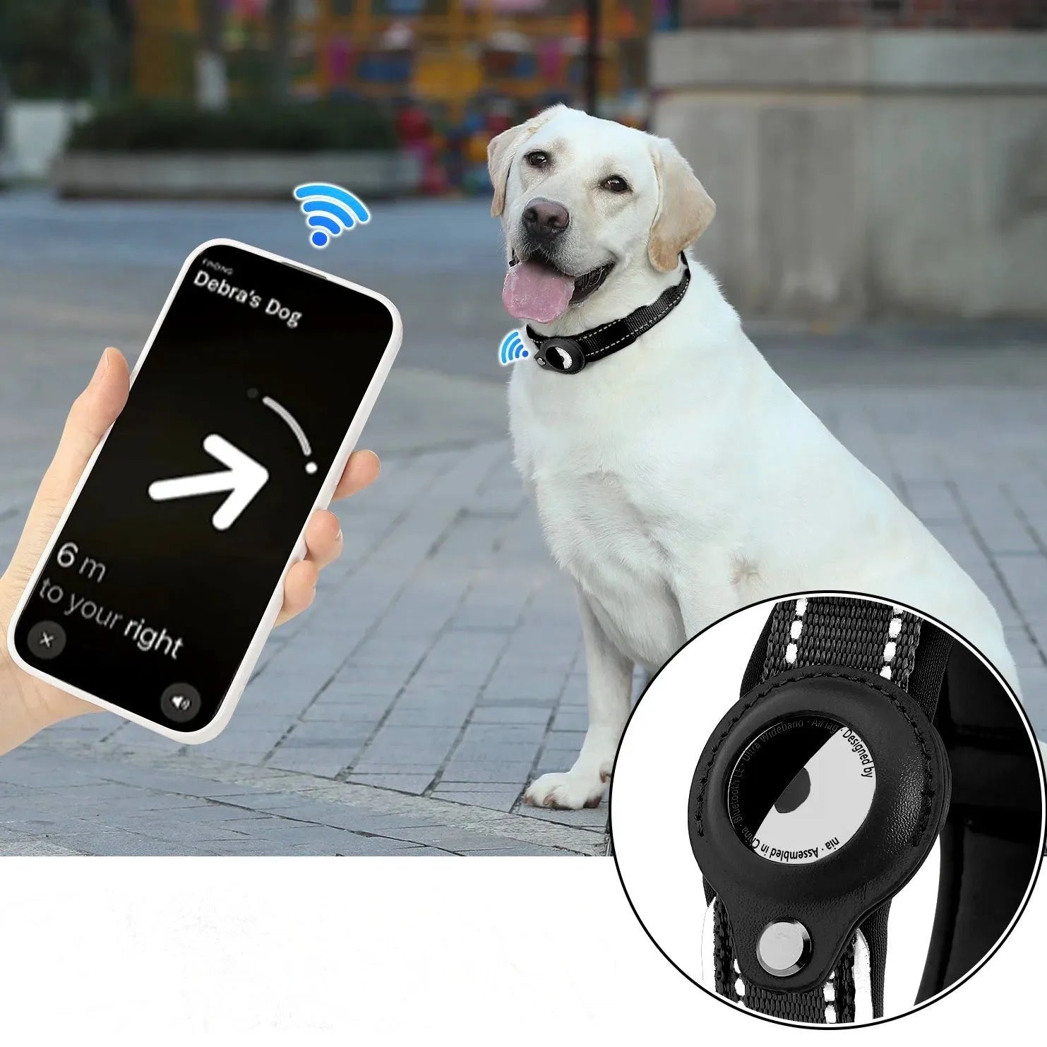 SafePaw – Das stilvolle AirTag Hundehalsband für maximale Sicherheit unterwegs