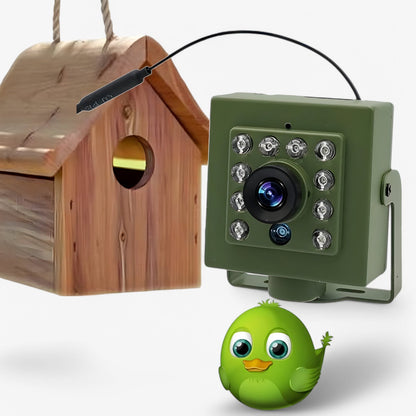 NestCam WLAN-Kamera – 1080p HD &amp; Wetterfest für beeindruckende Vogelbeobachtungen