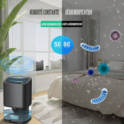 2-in-1 Luftentfeuchter Leise