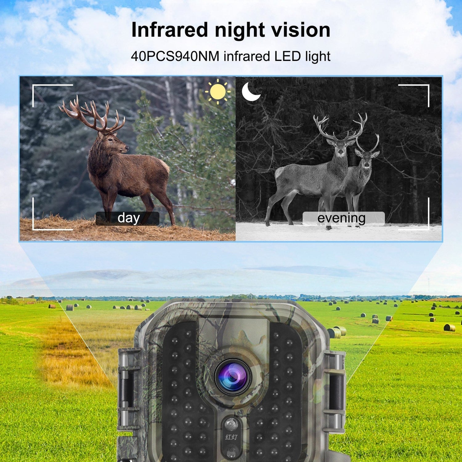 4K 30MP Trail-Kamera mit 2-Zoll-IPS-Bildschirm &amp; 48 Infrarot-LEDs für die Jagd