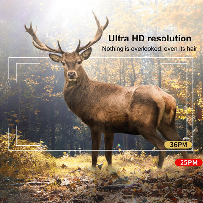 4K 30MP Trail-Kamera mit 2-Zoll-IPS-Bildschirm &amp; 48 Infrarot-LEDs für die Jagd
