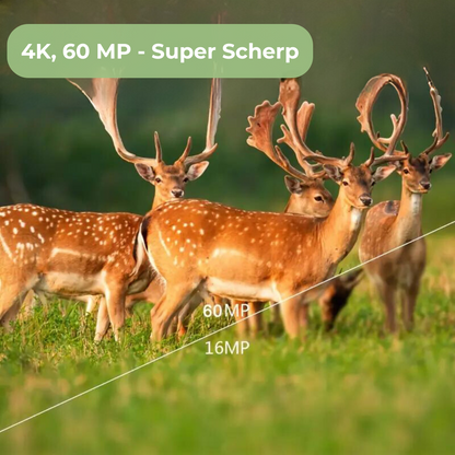Wildkamera 4K Ultra HD - Bewegungsempfindlich mit App-Steuerung zur Überwachung von Wildtieren
